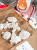 WOSK ZAPACHOWY DO KOMINKA - 25 g (wybierz zapach)